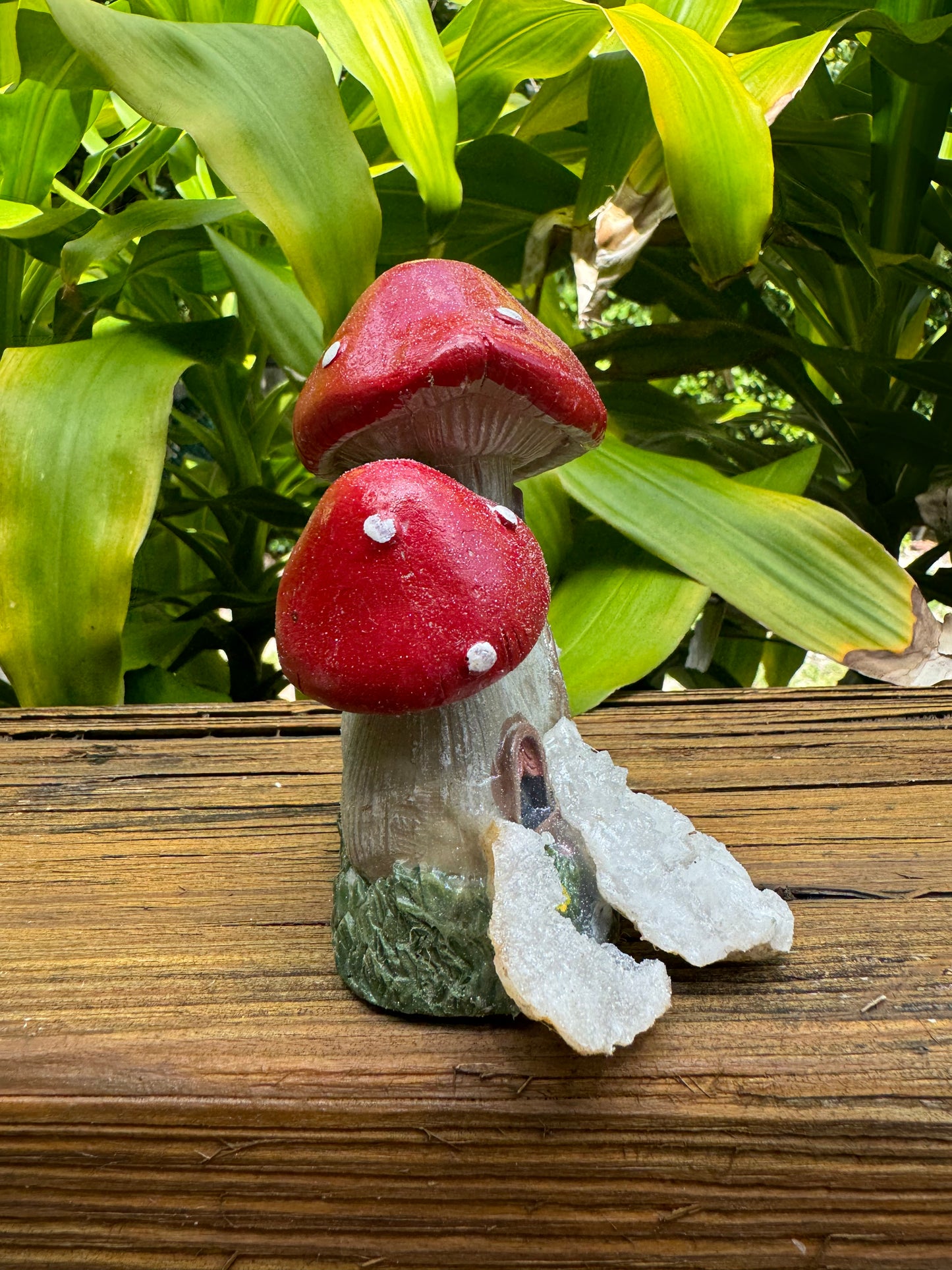 Double Amanita Abode