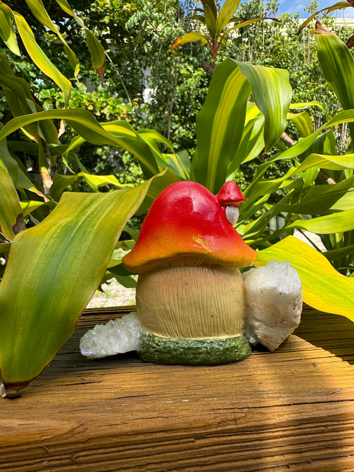 Mushroom Cottage with Mushroom Garden