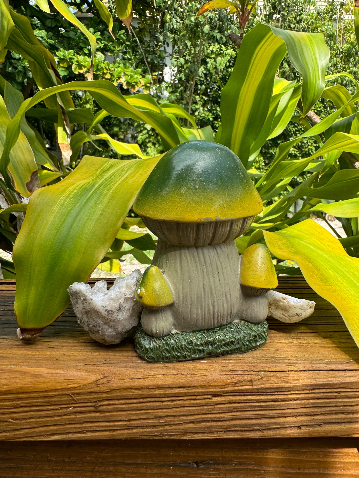 Green Mushroom Cottage